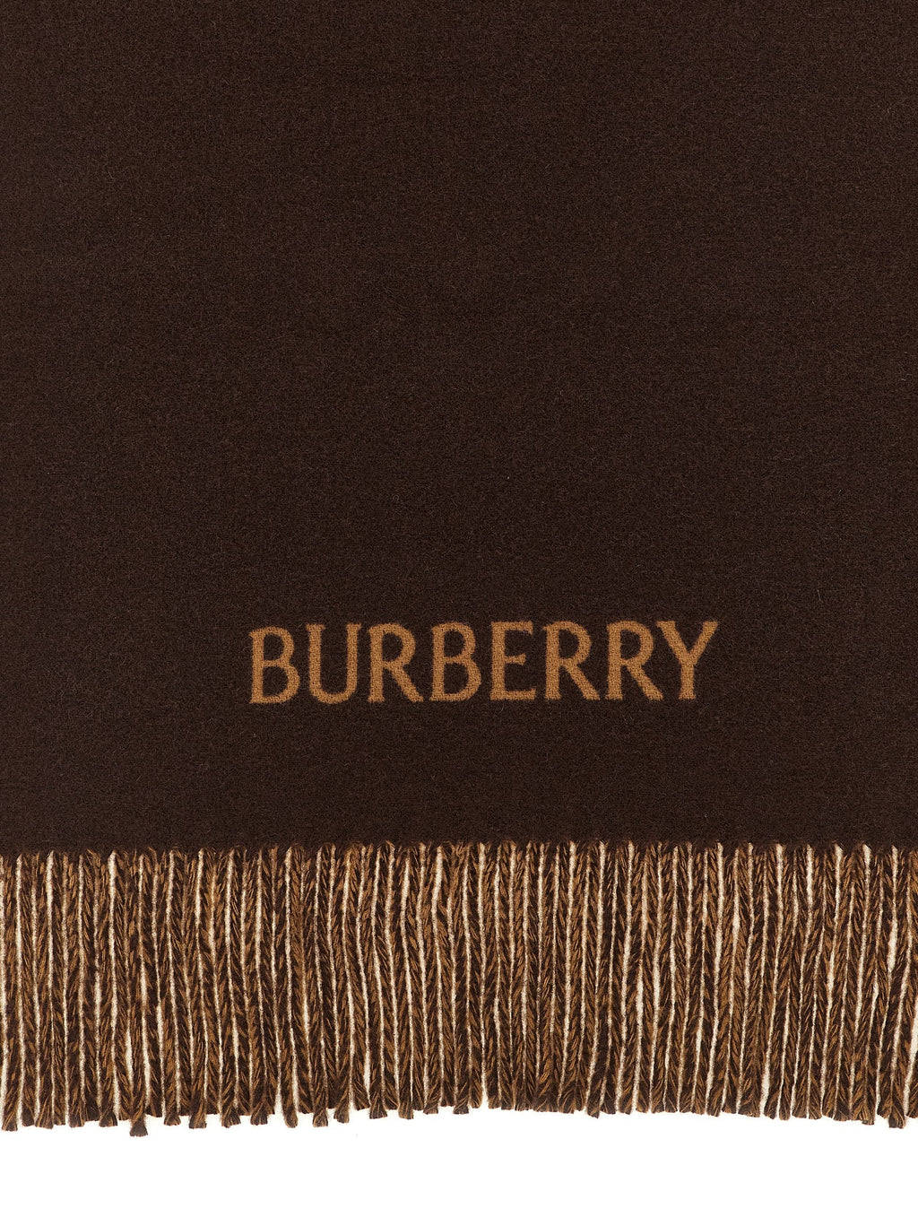 Burberry Multicolor Cashmere Scarf