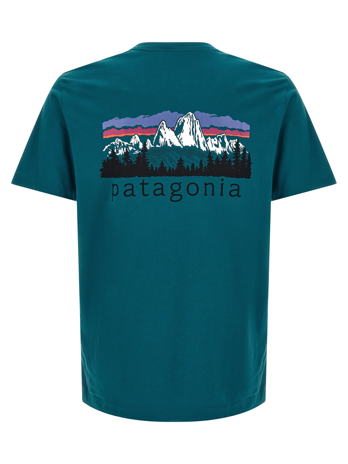 PATAGONIA Bicolor Cotton T-Shirt