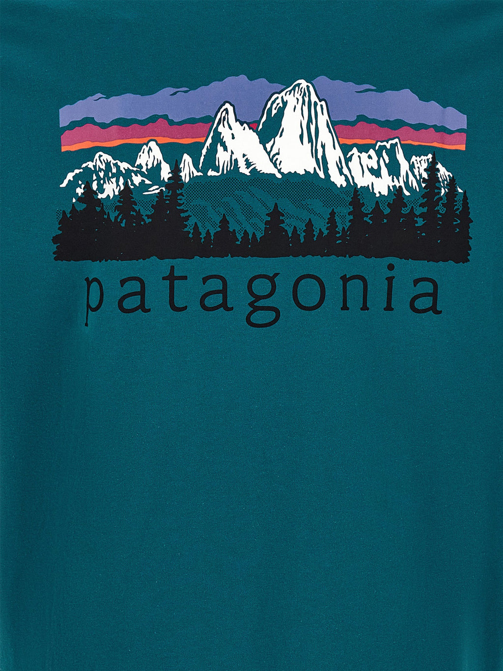 PATAGONIA Bicolor Cotton T-Shirt